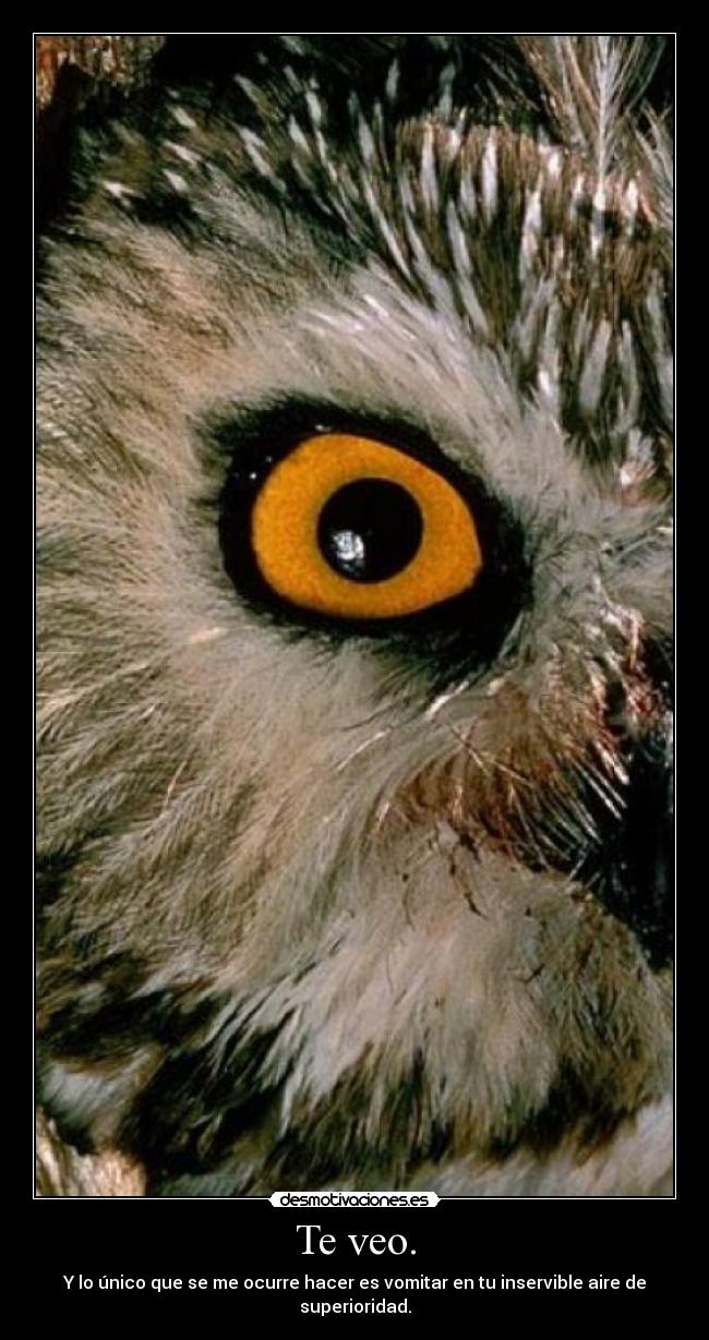 Te veo. - Y lo único que se me ocurre hacer es vomitar en tu inservible aire de superioridad.