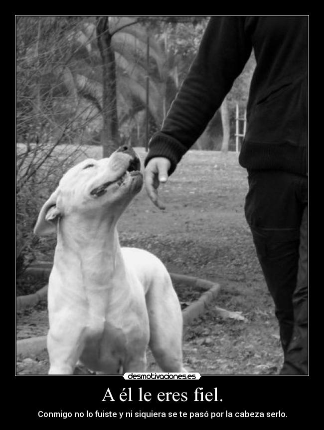 A él le eres fiel. - Conmigo no lo fuiste y ni siquiera se te pasó por la cabeza serlo.