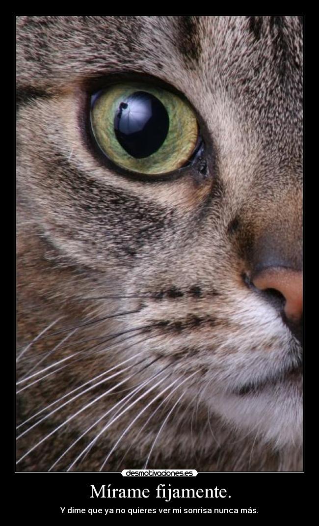 Mírame fijamente. - Y dime que ya no quieres ver mi sonrisa nunca más.