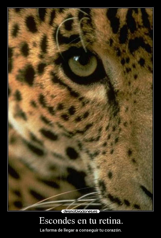 Escondes en tu retina. - La forma de llegar a conseguir tu corazón.