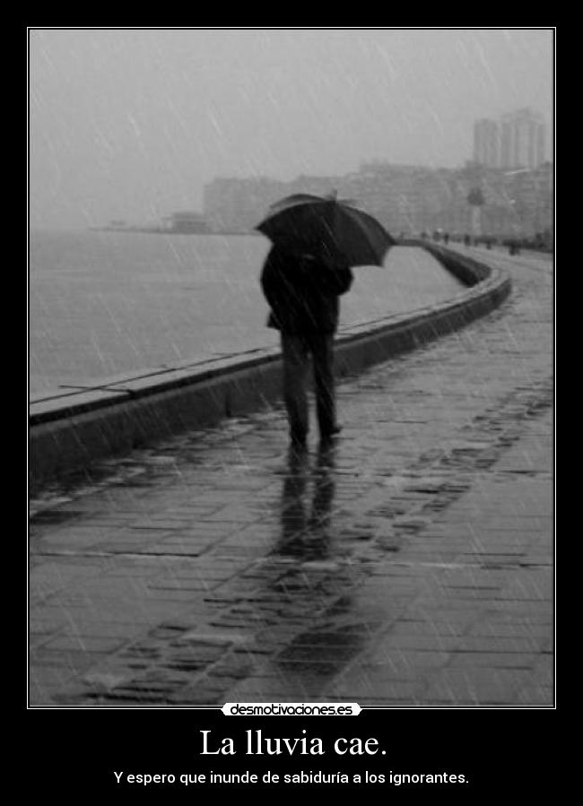 La lluvia cae. - Y espero que inunde de sabiduría a los ignorantes.