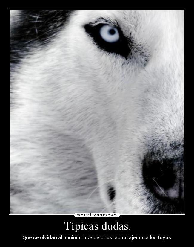 Típicas dudas. - Que se olvidan al mínimo roce de unos labios ajenos a los tuyos.