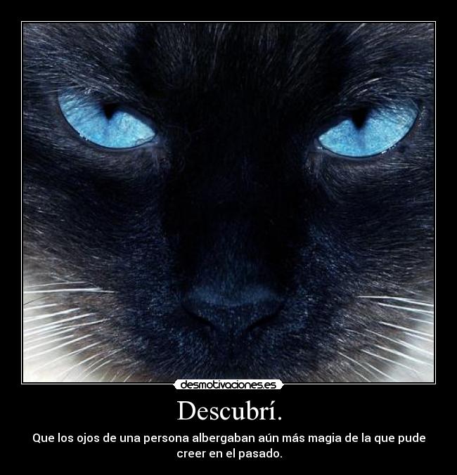 Descubrí. - Que los ojos de una persona albergaban aún más magia de la que pude
creer en el pasado.