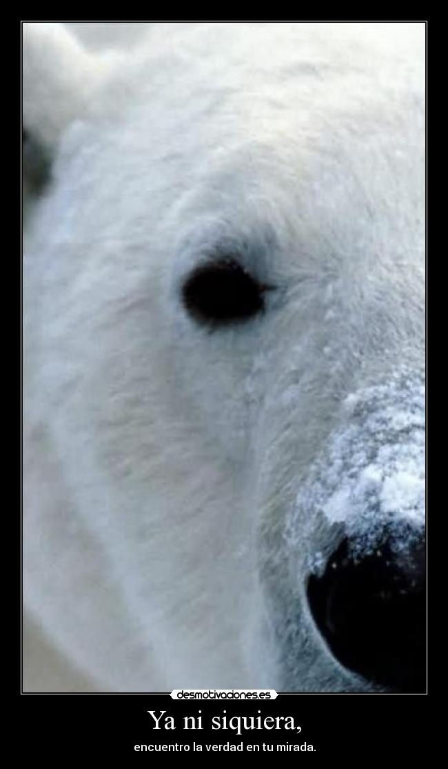 Ya ni siquiera, - encuentro la verdad en tu mirada.