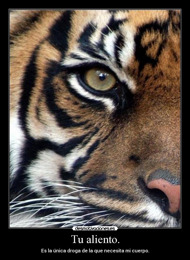 Tu aliento. - Es la única droga de la que necesita mi cuerpo.