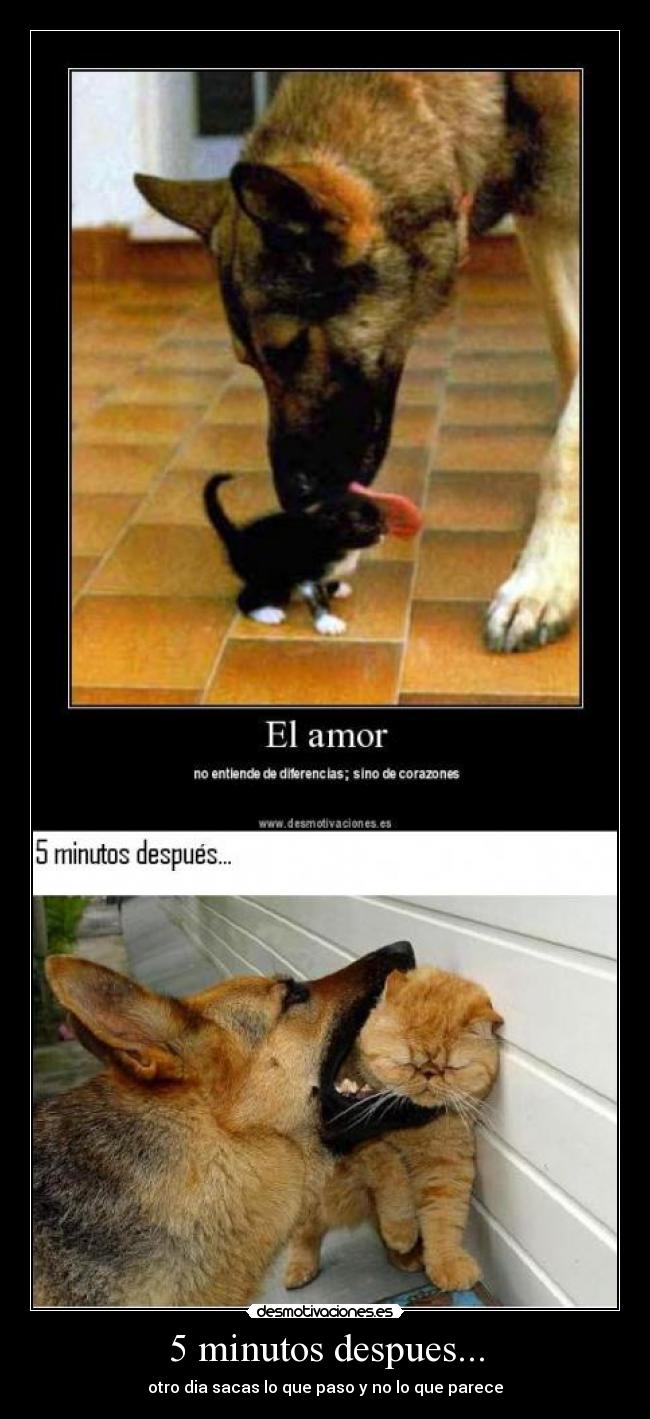 5 minutos despues... -