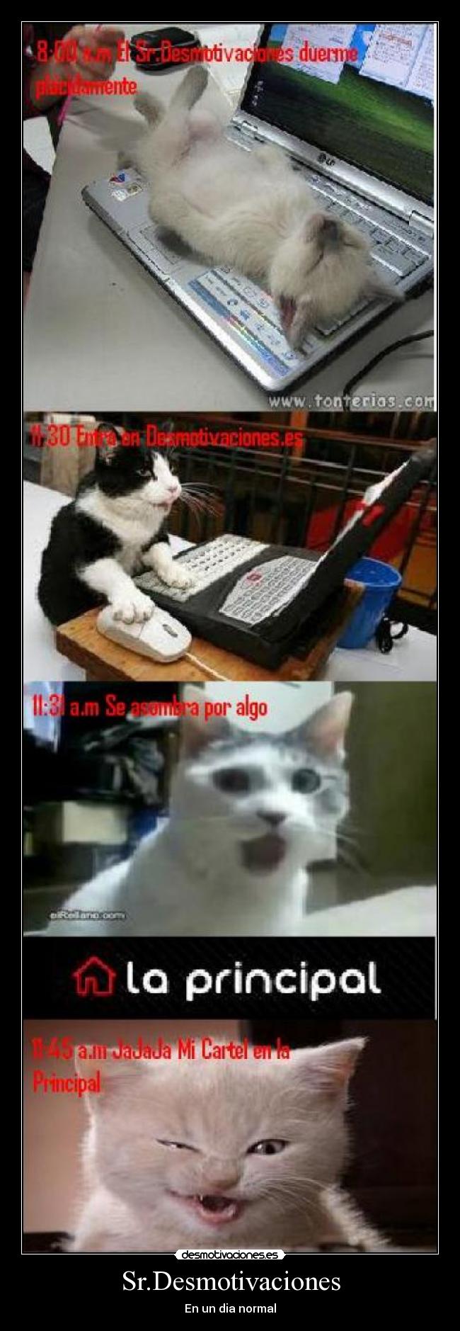 Sr.Desmotivaciones - En un dia normal