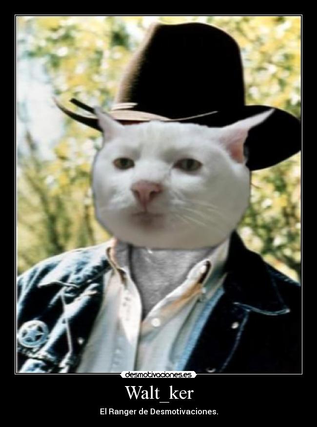 Walt_ker - El Ranger de Desmotivaciones.