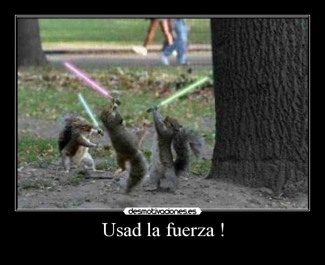 Usad la fuerza ! -