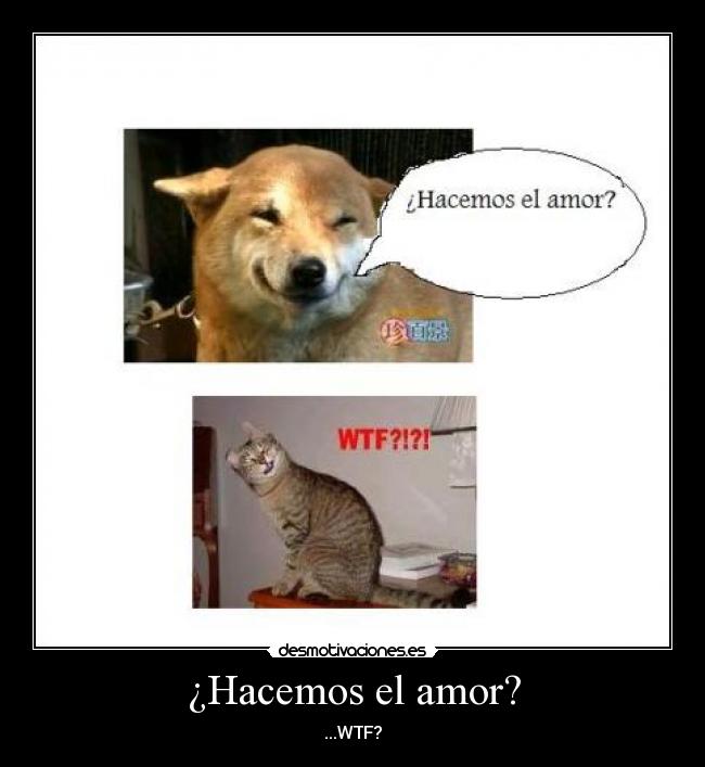 ¿Hacemos el amor? -