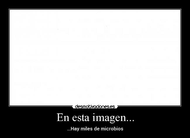 En esta imagen... - ...Hay miles de microbios