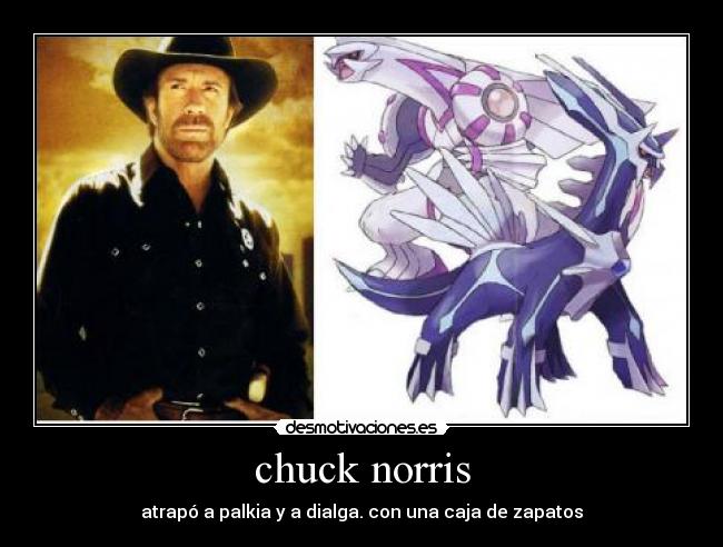 chuck norris -