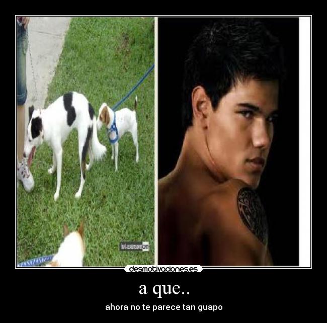 a que.. - ahora no te parece tan guapo