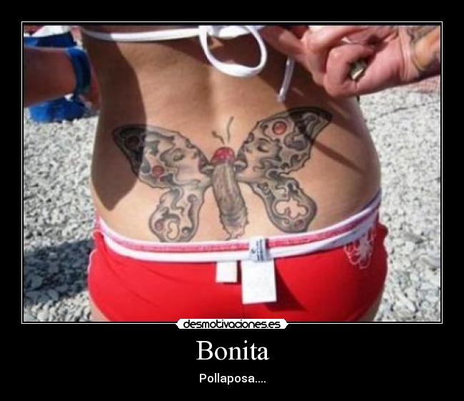 Bonita - Pollaposa....