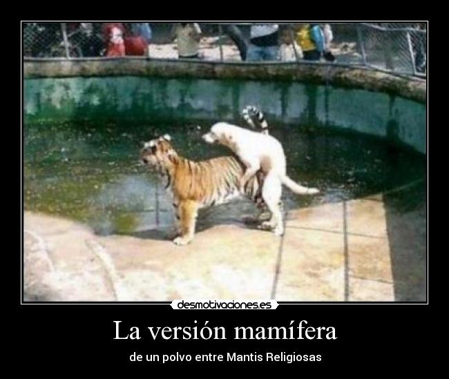 carteles perro follando desmotivaciones