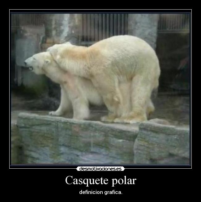 Casquete polar - 