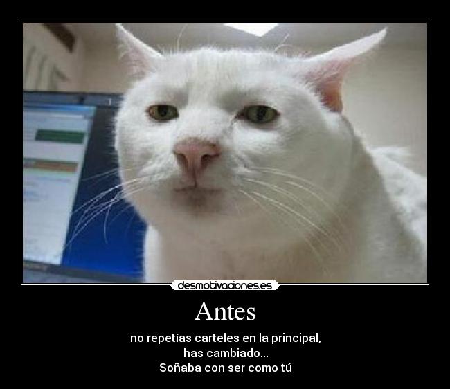 Antes - 