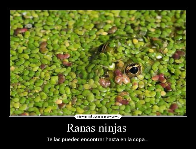 carteles yuanki desmotivaciones