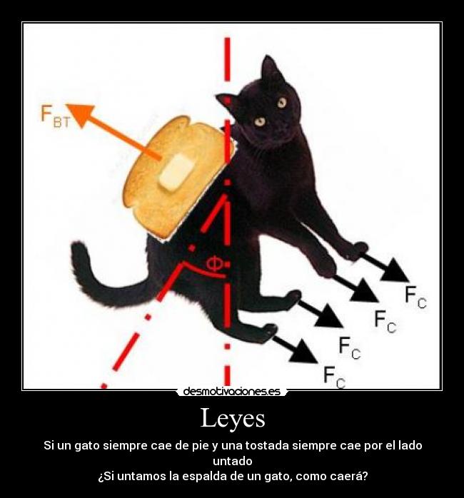 Leyes -