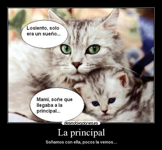 carteles yuanki desmotivaciones