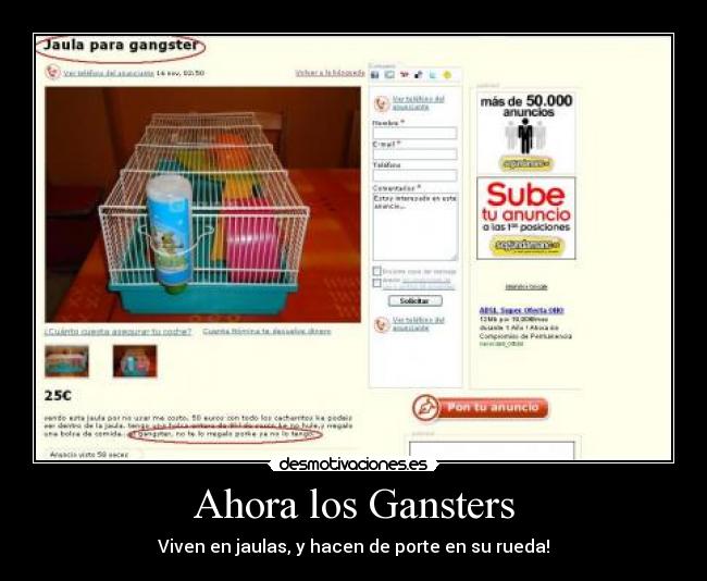 Ahora los Gansters - 