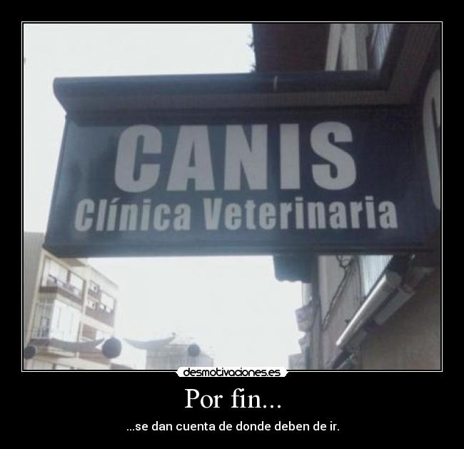 Por fin... - ...se dan cuenta de donde deben de ir.