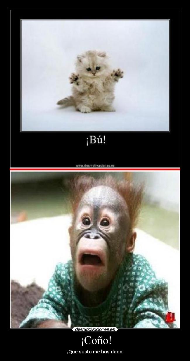 ¡Coño! - 