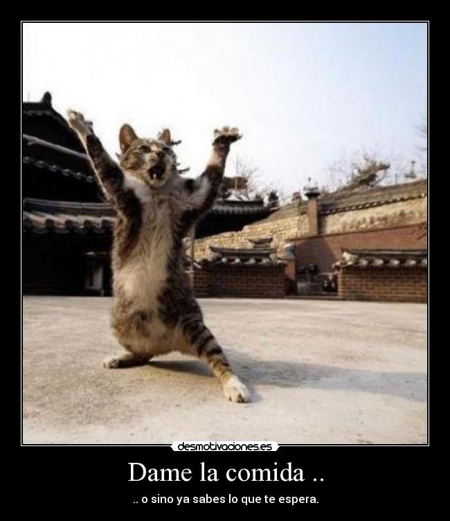 Dame la comida .. - 