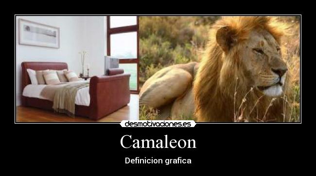 Camaleon - 