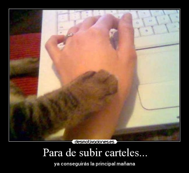 Para de subir carteles... -