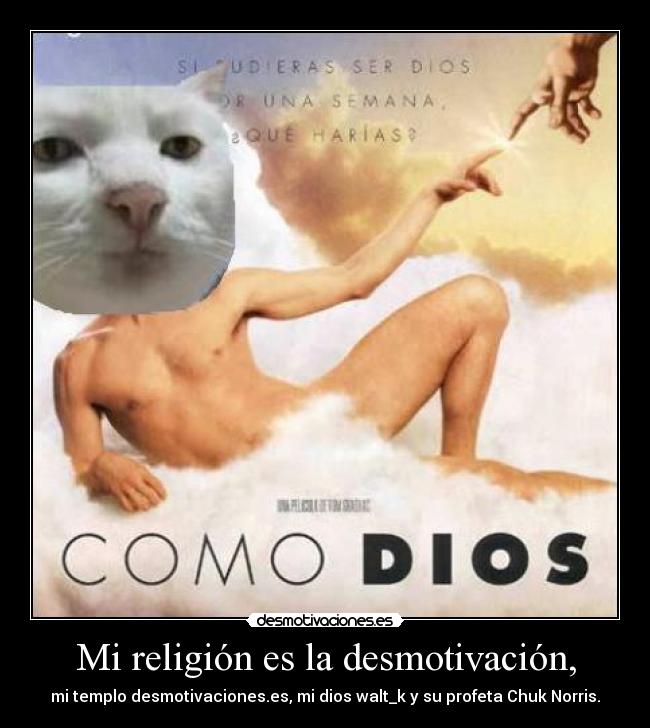 Mi religión es la desmotivación, - 