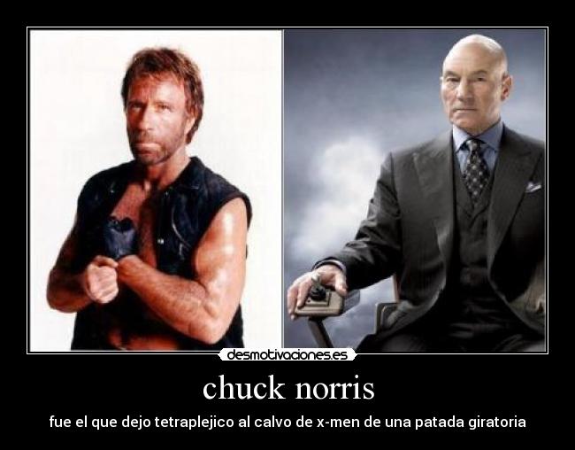 chuck norris -