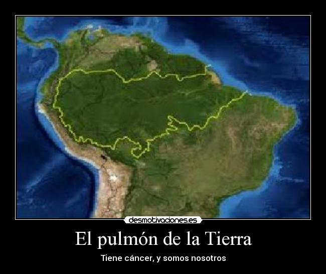 El pulmón de la Tierra -