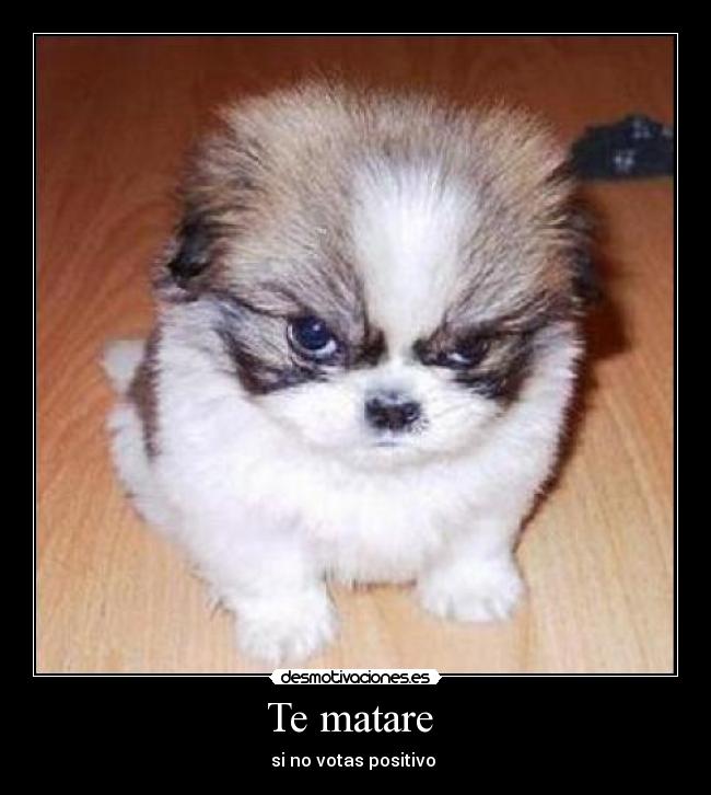 Te matare -