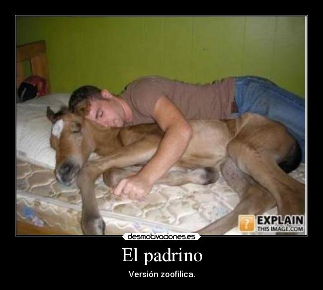 El padrino - Versión zoofilica.