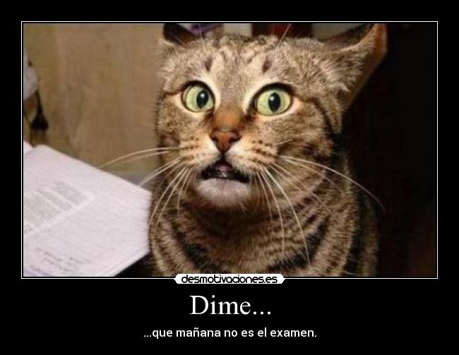 Dime... - ...que mañana no es el examen.