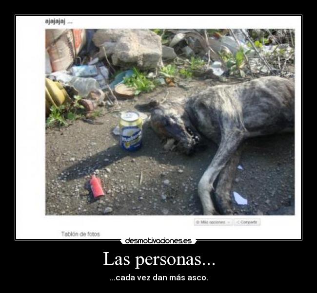 Las personas... - 