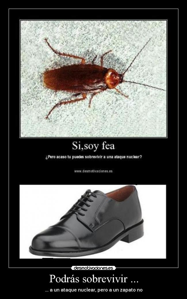 Podrás sobrevivir ... - 
