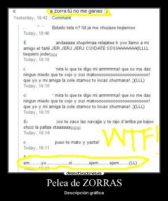 Pelea de ZORRAS - Descripción gráfica