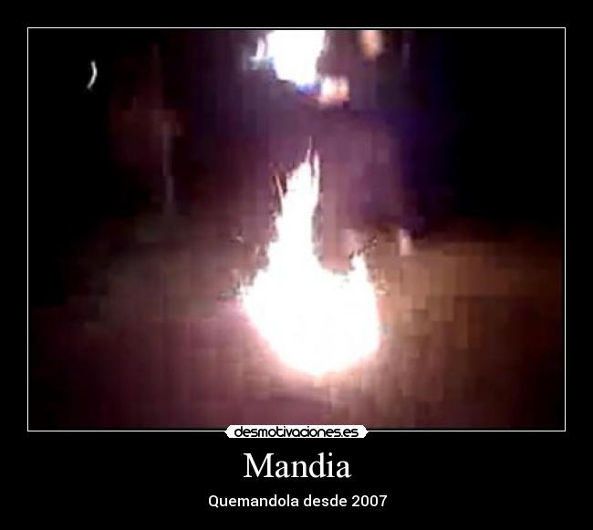 carteles humor desmotivaciones