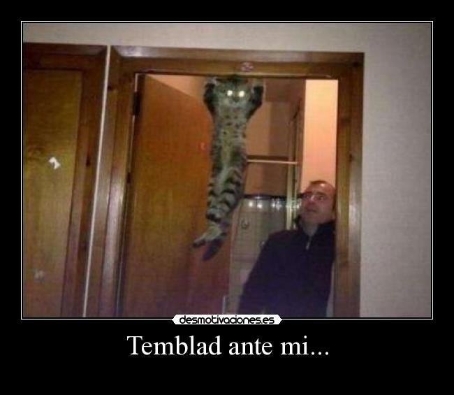 Temblad ante mi... - 