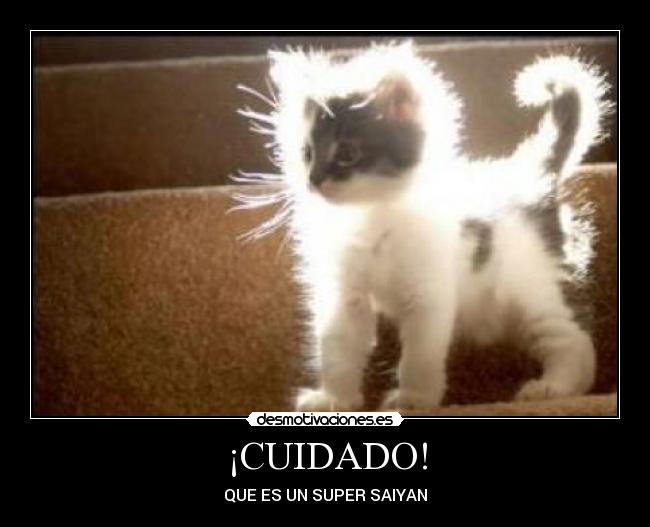 ¡CUIDADO! - QUE ES UN SUPER SAIYAN