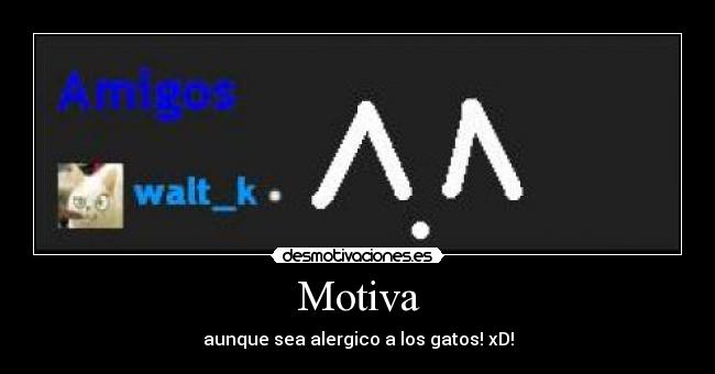 Motiva - aunque sea alergico a los gatos! xD!