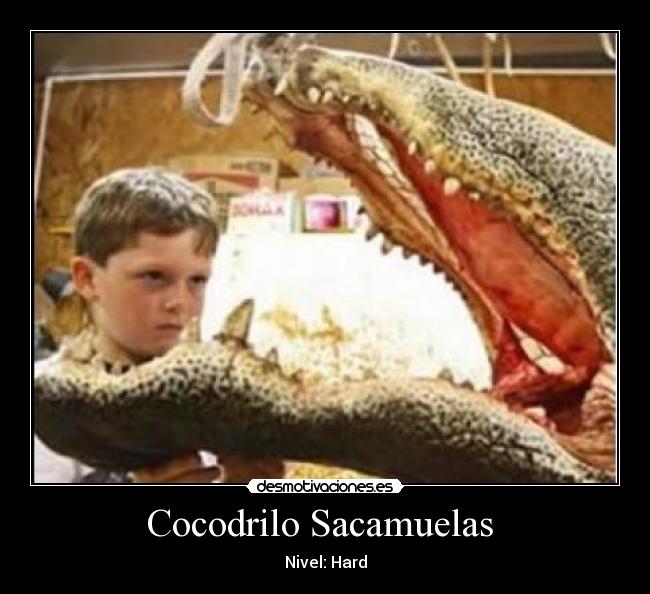Cocodrilo Sacamuelas  - Nivel: Hard