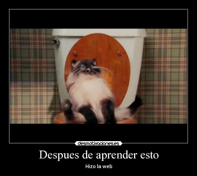 Despues de aprender esto - 