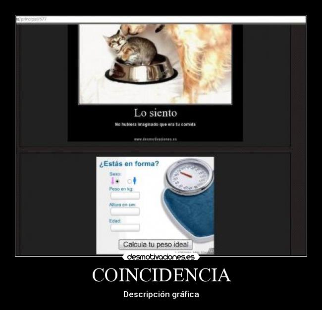 carteles dny6 desmotivaciones