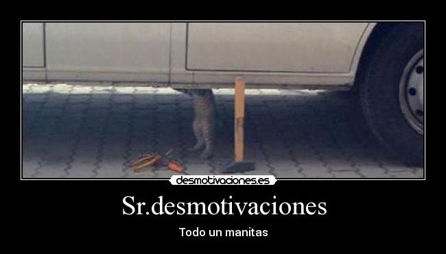 Sr.desmotivaciones - Todo un manitas
