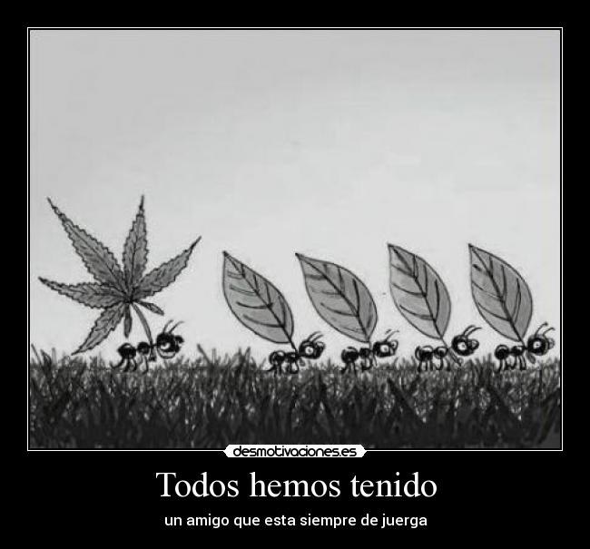 Todos hemos tenido -
