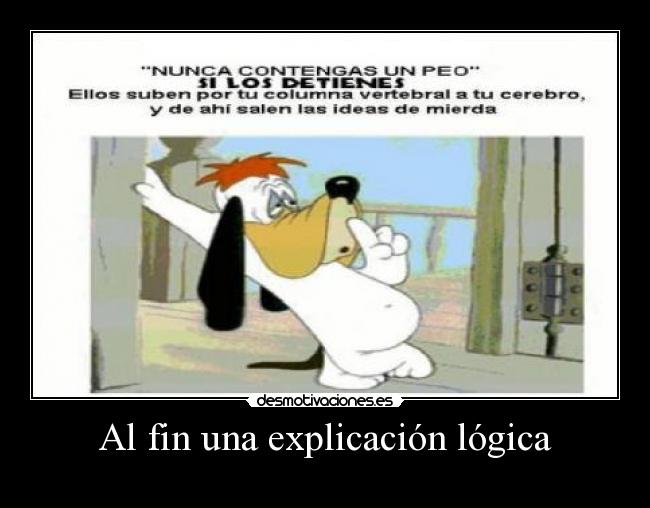 Al fin una explicación lógica -