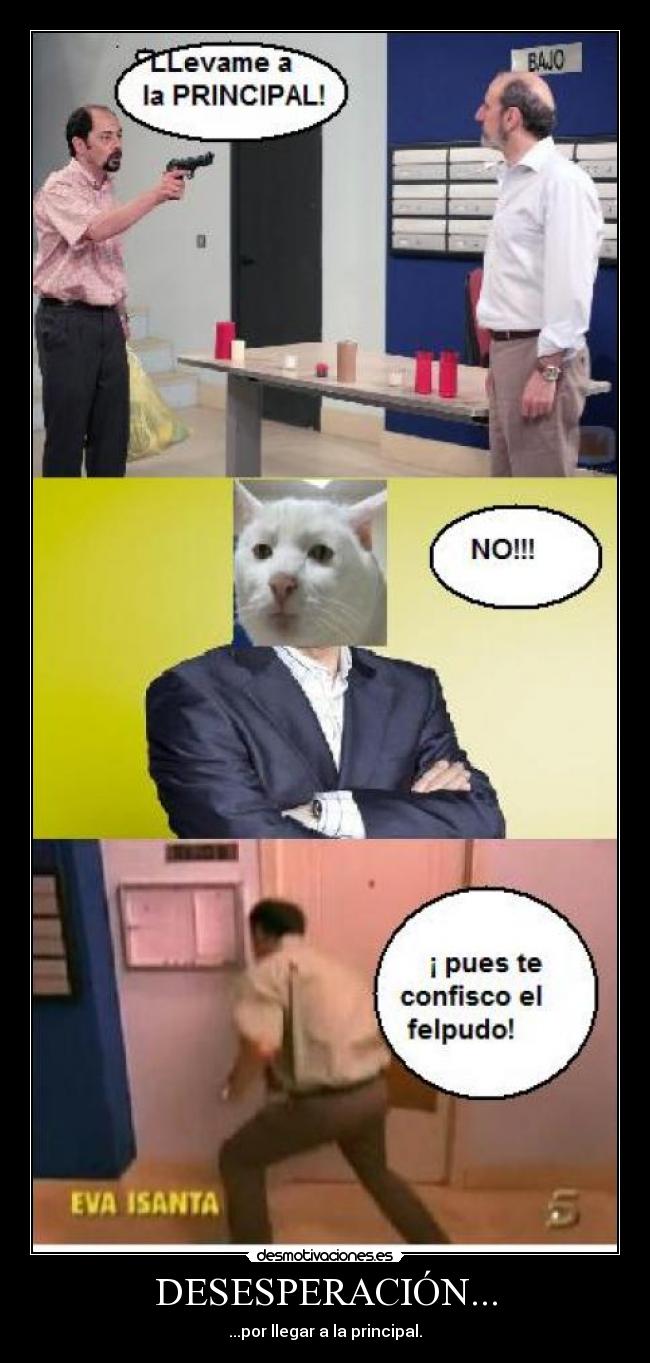 DESESPERACIÓN... - 